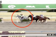 【油断騎乗】熊沢重文騎手、追い動作を故意に緩めたため2日間騎乗停止