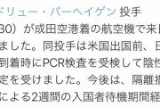 【朗報】日ハム・バーヘイゲンが来日！！！！！！！！