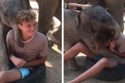 「ああああ！！！」象の赤ちゃんに気に入られてしまった男性にギャラリーも大爆笑！