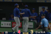【サヨナラ負け】DeNAファン集合【カード勝ち越し】
