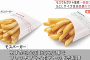 【悲報】今度はモスバーガーのポテトが一部販売休止！！原因はマックと同じ