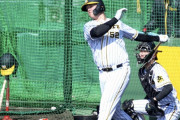 阪神サンズ「コンディションいい」実戦で状態上げる