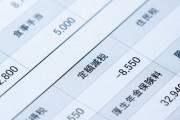 (´・ω・`)給与明細を確認したら定額減税が適応されていた…その額30000円
