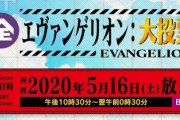 【悲報】綾波レイさん、人気がないことが「エヴァ大投票」で明らかになる…
