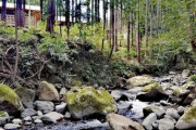 【小田原市】RECAMP おだわら【タープ泊動画】森の中を清流がせせらぐ自然溢れるキャンプ場♪
