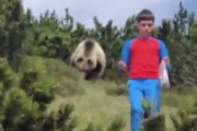 【動画】クソガキさん、山でヒグマに遭遇　ビビり散らしてしまう…w