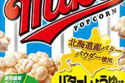 【画像】グルメ漫画好きのワイ、スーパーのスナック菓子コーナーで買えるお菓子ナンバーワンを決定する！！