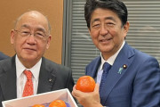 【ジューシー安倍】安倍晋三「奈良県の柿を試食しました。もちろんジューシーでした。」