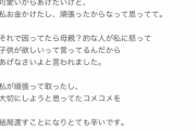 【悲報】女さん「クレーンゲームでコメコメを回収し終えたら小さい子にねだられ、母らしき人に怒られた」