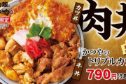 【画像】かつやの期間限定メニュー、神過ぎる
