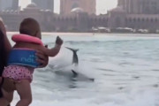 「ウソでしょ!?」とんでもない環境で小さな娘にイルカを見せるパパ