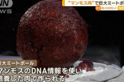 【画像】マンモスの肉で作ったミートボールがこちらｗｗｗｗｗｗ