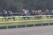 【助かる】JRAが「心ふるわせる名勝負14選」の動画を公開！
