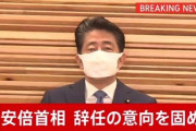 (ヽ´ん`)「ずっと『安倍やめろ』と言えるものだと思ってた。」