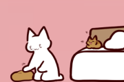 旦那「( ˘ω˘ ) ｽﾔｧ…　ｹﾘｰ」　猫「Σ」　私「よしよし（3з3）」
