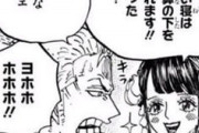 【ONEPIECE -ワンピース】ゾロさん、嫁候補が多すぎる理由ｗｗｗ