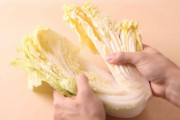カット白菜は「内側から」食べるのが正解　外側からだとなぜNG？野菜のプロに聞いた