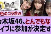 乃木坂46、とんでもないライブに参加が決定する！【乃木坂46・乃木坂配信中・乃木坂工事中】