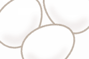 【マジで謎】白いタマゴと茶色いタマゴの違いｗｗｗｗｗｗｗｗｗｗｗｗｗｗｗ
