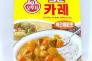 韓国人「悲報：韓国式カレー、マズすぎる」
