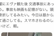 Twitter民、シンエヴァ観た後に交通事故に遭い記憶を失う