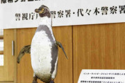 ペンギンの剥製インターネットオークションで売買の疑い古物商の男性2人書類送検