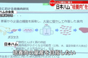 日本ハムが培養肉の開発に成功、実用化へ
