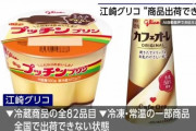 【悲報】グリコさん、謎のコンサル企業によってシステムを無茶苦茶にされてしまう…プッチンプリン出荷停止も