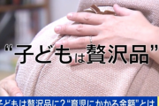 子供を持つことが贅沢になってしまった日本　子供一人育てる為に最低３０００万円が必要「今の生活で子ども作るとか無理ゲー」「もはや産んだら子どもが不びんなレベル」