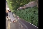 【動画】トー横グラマラス女子、通行人に突然殴りかかる