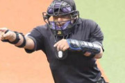 プロ野球の審判員、スタートは「年俸102万円」過酷な現実