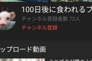 【画像】100日後に食われるブタ、爆誕ｗｗｗｗｗｗｗｗｗｗｗ