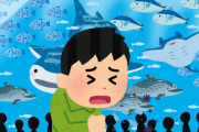 【大阪】海遊館も3月2日から休館　新型コロナ対策で