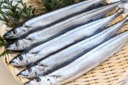 【衝撃】不漁が続くサンマ、驚きの価格にｗｗｗｗｗｗｗｗｗ