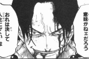 【ONEPIECE -ワンピース】エース「出来の悪ぃ弟を持つと兄貴は心配なんだ。お前らも手を焼くだろうが宜しく」