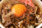 味障「牛丼に紅しょうが(大量)ドバーッ！七味(大量)ドサーッ！卵べシャーッ！」←これ