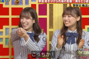 【日向坂46】すげえ... 佐々木久美、チョコプラ松尾さんにパスを出すwww【THE突破ファイル】