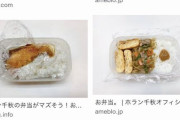 【悲報】ホラン千秋の弁当ｗｗｗ