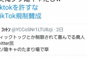 【朗報】tiktok規制賛成派陽キャだった