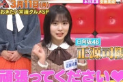 【日向坂46】次回ネプリーグにこの4人が出演へ！！