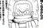 【ONEPIECE -ワンピース】ゾロ→先祖がすごい、サンジ→足燃える理由ありましたｗｗｗ