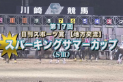 ●【騎手ほぼ全変更】交流スパーキングサマーカップ