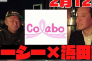 Colaboに関するガーシー議員の質問主意書、政府の答弁が決定