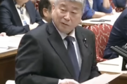 【！？】れいわ伊勢崎「ウィーン条約では皇室典範を理由に条約上の義務を免れることは認められていないと私は解釈。伝統は国際条約よりも優先されるのか」（国会動画）