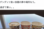 ひろゆき「ハーゲンダッツ食い放題なう。日本のハーゲンダッツは北海道製なのに皆美味しいと誤解してるんですよｗ」