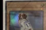 【画像】大谷翔平の犬、遊戯王カードになるｗｗｗｗ