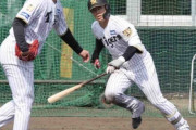 出たぞ！阪神、今キャンプ初シート打撃でドラ2谷端将伍が初打席初安打　門別から左前打