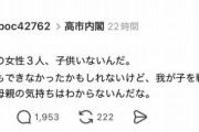 「高市内閣の女性3人は子供がいない。だから我が子を戦争から守りたい母親の気持ちはわからない」