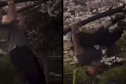 アメリカ人配信者、日本に来て桜の枝で懸垂を披露して非難殺到
