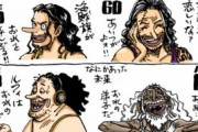 【画像】麦わらの一味の40才と60才の姿がコチラｗｗｗｗｗｗｗ